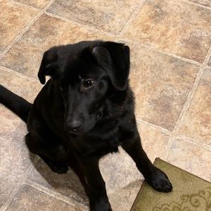 Meet your Posher, Cynthia